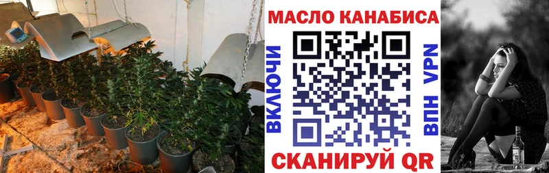 цена   Шенкурск  ТГК THC oil 