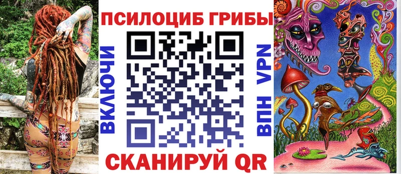площадка состав  Шенкурск  Псилоцибиновые грибы мухоморы 