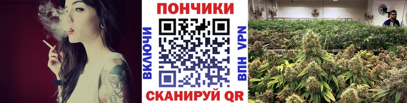 Марихуана конопля продажа наркотиков Шенкурск